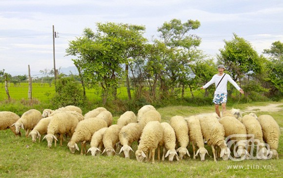 câu chuyện lãnh đạo từ việc chăn cừu