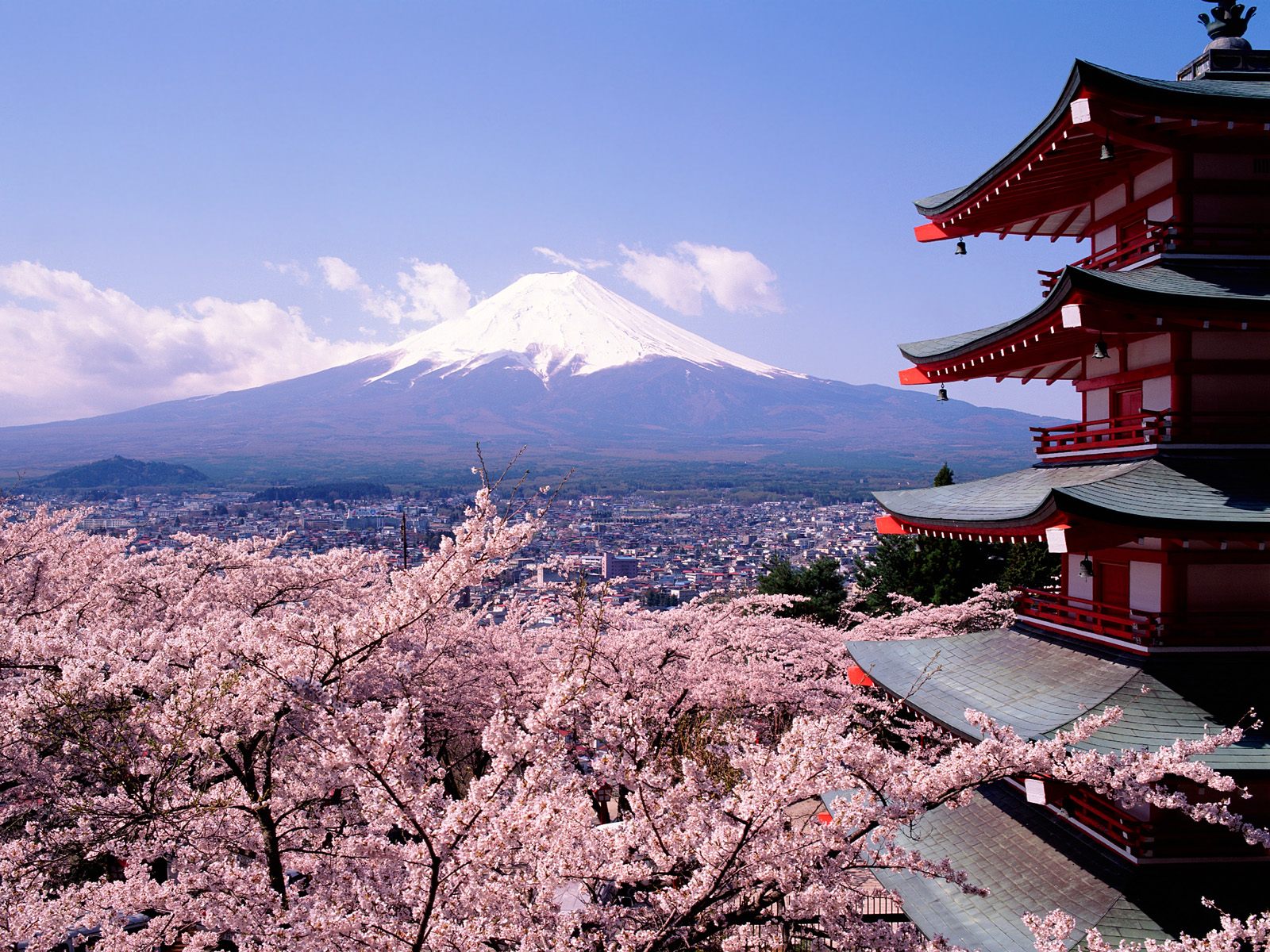Bài học từ văn hóa doanh nghiệp Nhật Bản – phần 1