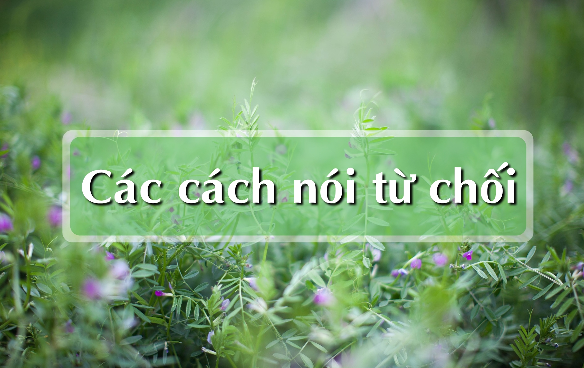 CÁCH NÓI LỜI TỪ CHỐI